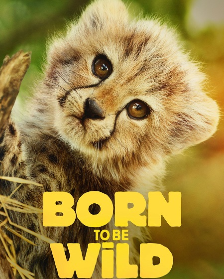 شاهدمسلسل Born to be Wild الموسم الاول الحلقة 2 