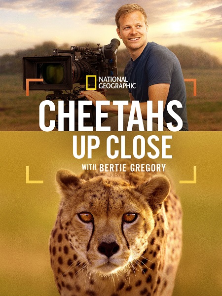 شاهدمشاهدة فيلم Cheetahs Up Close with Bertie Gregory 2026 